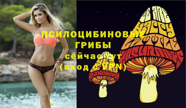 гидропоника Магадан