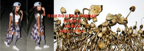 гидропоника Магадан